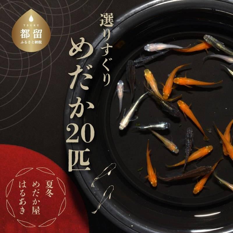 ?夏用布団特集?