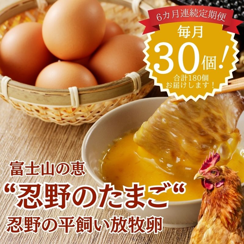 【ふるさと納税】【定期便】忍野の平飼い放牧卵　6か月連続定期便（毎月30個×6か月）180個　|| 山梨県産 たまご 玉子 卵焼き 玉子焼き たまご焼き 生卵 鶏卵 たまごかけ 国産 定期便