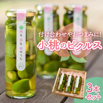 【ふるさと納税】山梨県産もものピクルス「小桃も桃も桃のうち」3本セット 前菜やワインのお供に!食卓が華やぐ♪【1038299】|山梨県山梨市