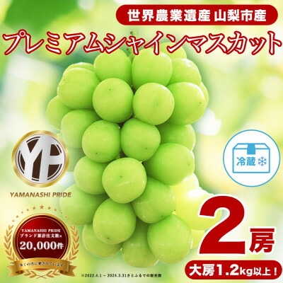 【ふるさと納税】フルーツ王国山梨産厳選 シャインマスカット 2房 (1.2kg以上) プレミアム【配送不可地域：離島】【1105033】