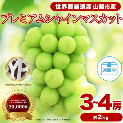 【ふるさと納税】フルーツ王国山梨産 厳選 シャインマスカット 3～4房 (約2kg)_ ふるさと納税 ふるさと マスカット ぶどう ブドウ 葡萄 フルーツ 果物 くだもの 人気 美味しい 山梨県 山梨市 山梨 送料無料【配送不可地域：離島】【1108670】