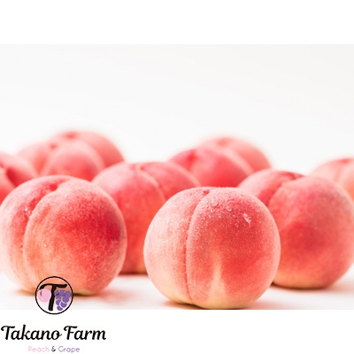 【ふるさと納税】完熟桃 約2kg 山梨県産 自社農園産直!完熟収穫! Takano Farm_ ふるさと納税 ふるさと 桃 もも モモ 完熟 ピーチ フルーツ 果物 くだもの 人気 美味しい 山梨県 山梨市 山梨 送料無料 【配送不可地域：離島】【1115745】