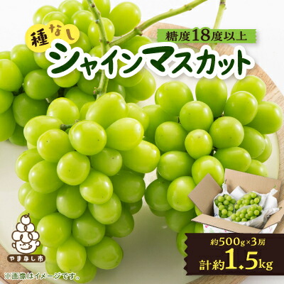 【ふるさと納税】山梨市産「シャインマスカット(種なし)」 約1.5kg (約500g×3房)【配送不可地域：離島・沖縄県】【1117303】