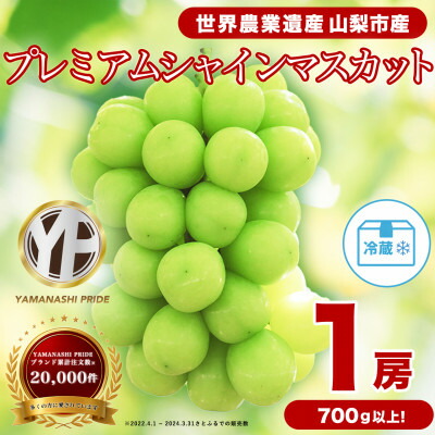 【ふるさと納税】フルーツ王国山梨産厳選 大房シャインマスカット 1房 (約700～800g)【配送不可地域：離島】【1134568】