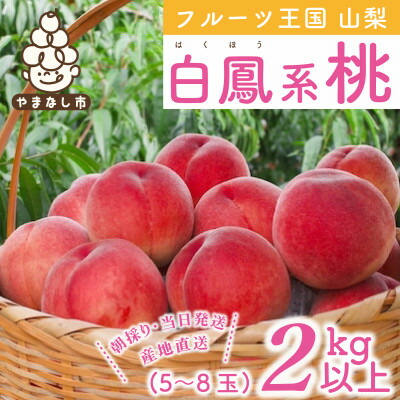 【ふるさと納税】山梨県産 桃 白鳳系 2kg以上(5～8玉) フルーツ王国・山梨から産地直送_ ふるさと納税 ふるさと もも モモ フルーツ 果物 くだもの 人気 美味しい 山梨県 山梨市 山梨 送料無料【配送不可地域：離島・沖縄県】【1137260】