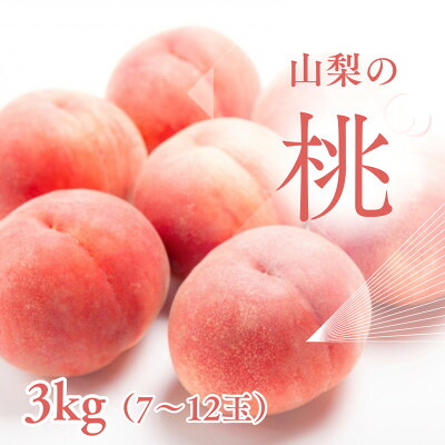 【ふるさと納税】【2026年発送】新鮮!山梨市産 桃 約3kg(8~12玉)【配送不可地域:離島】【1305781】|山梨県山梨市