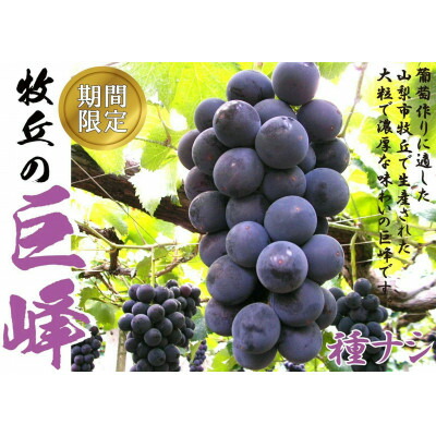 【ふるさと納税】9月より順次発送巨峰の丘巨峰のプロがお届けする巨峰(種なし)2房(1kg以上)【配送不可地域：離島】【1362911】