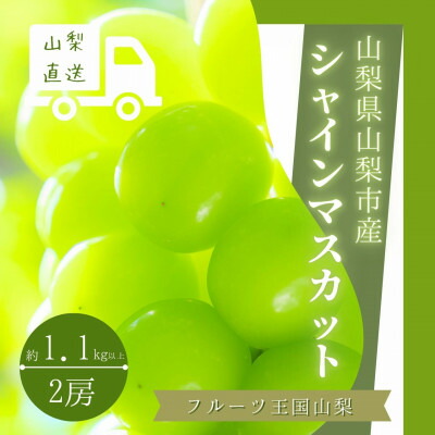 【ふるさと納税】冬に食べる貴重なシャインマスカット2房約1.1kg以上【配送不可地域：離島】【1374931】