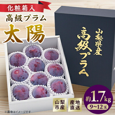 【ふるさと納税】山梨市産プラム　太陽　約1.7kg(9～12玉)【配送不可地域：離島・沖縄県】【1431878】