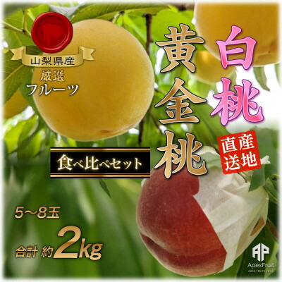 【ふるさと納税】山梨市産　白桃と黄金桃の食べ比べセット　約2kg(5～8玉)【配送不可地域：離島】【1431881】