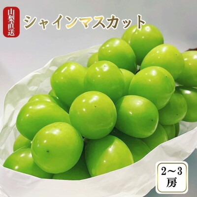 【ふるさと納税】シャインマスカット 1.1kg 厳選!池田青果のシャインマスカット2房～3房_ ふるさと納税 フルーツ 果物 くだもの マスカット ブドウ ぶどう 葡萄 ふるさと 人気 山梨 山梨県 送料無料【配送不可地域：離島】【1436023】