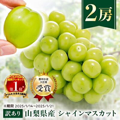 【ふるさと納税】【訳あり】シャインマスカット2房1kg以上/3~4房1.5kg以上 ※2025年8月下旬以降発送予定_ふるさと納税 シャインマスカット フルーツ 果物 訳アリ ぶどう ブドウ くだもの 人気 マスカット 山梨 山梨県 山梨市【配送不可地域：離島】【G1456435】