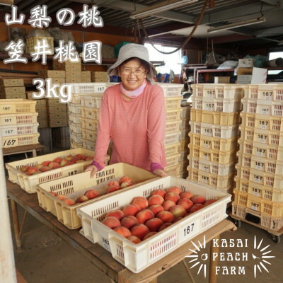 【ふるさと納税】厳選朝採り桃 山梨の笠井桃園の桃 3kg【配送不可地域：離島】【1456517】