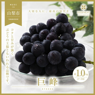 【ふるさと納税】【2026年発送】山梨県山梨市産　旬の採れたて巨峰　約1kg　2～3房【配送不可地域：離島】【1459462】