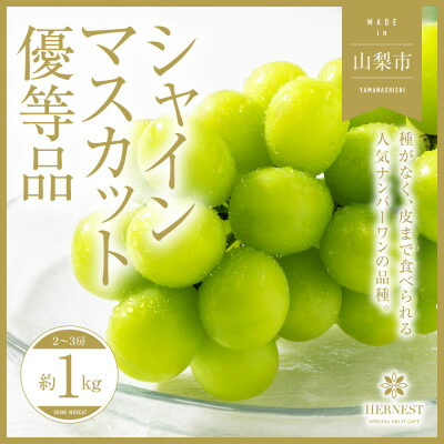 【ふるさと納税】【訳あり】山梨県山梨市産　旬の採れたてシャインマスカット　優等品約1kg2～3房_ シャインマスカット 葡萄 ぶどう ブドウ 果物 フルーツ ふるーつ くだもの 青果 産直 山梨 国産 甘い 訳あり 【配送不可地域：離島】【1459692】