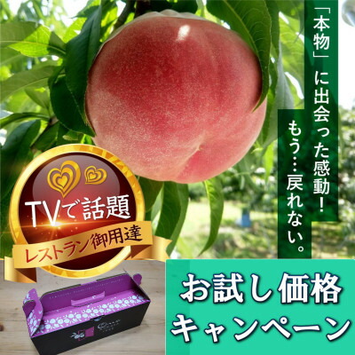 【ふるさと納税】【お試しキャンペーン】4年連続TV出演で話題沸騰中『樹上完熟ブランド桃』2025年8月下旬より発送【配送不可地域：離島・北海道・沖縄県・中国・四国・九州】【1460000】