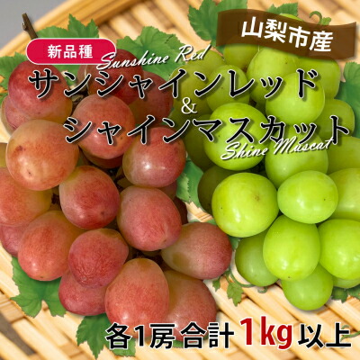 【ふるさと納税】山梨市産サンシャインレッドとシャインマスカットの特別セット(合計1kg以上)【配送不可地域：離島】【1464815】