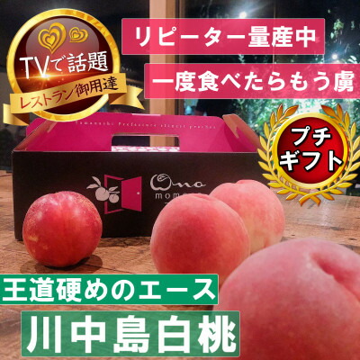 【ふるさと納税】《王道硬めのエース川中島白桃》桃グランプリ銅賞&4年連続TV出演話題ブランド2025年8月上旬発送【配送不可地域：離島・北海道・沖縄県・中国・四国・九州】【1465325】