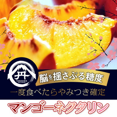 【ふるさと納税】【果汁溢れるクセになる新感覚】マンゴーネクタリンやみつきリピーター続出中2025年7月下旬より発送【配送不可地域：離島・北海道・沖縄県・中国・四国・九州】【1468753】