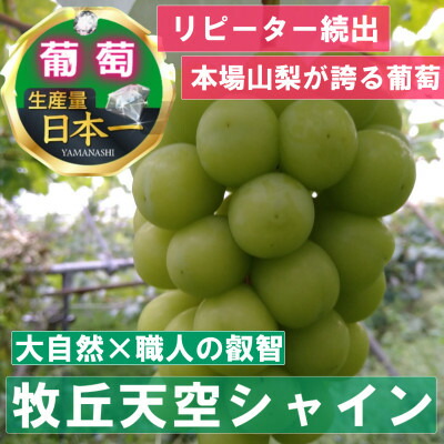 【ふるさと納税】2025年10月中旬発送「幻の牧丘天空シャインマスカット」約1kg(2～3房)【配送不可地域：離島・沖縄県】【1473199】