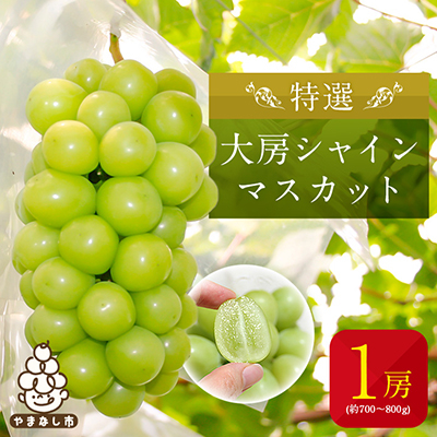 【ふるさと納税】特選大房シャインマスカット1房(約700～800g) ふるさと納税_ ふるさと納税 フルーツ 果物 くだもの マスカット ブドウ ぶどう 葡萄 ふるさと 人気 山梨 山梨県 送料無料【配送不可地域：離島・沖縄県】【1021827】