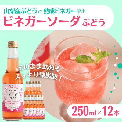 【ふるさと納税】山梨産ぶどう100%の熟成ビネガーで造った!そのまま飲める「ビネガーソーダぶどう12本セット」【1518630】｜山梨県山梨市