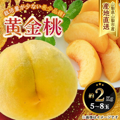 【ふるさと納税】【ふるさと納税】山梨県山梨市産 黄桃 黄金桃 約2kg 5玉～8玉【配送不可地域：離島】【1328634】