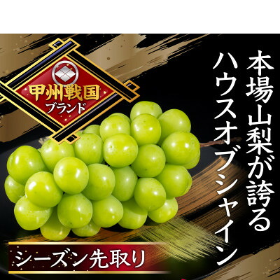 【ふるさと納税】【本場山梨の旬を堪能】今、話題のハウスオブシャインマスカット全国に先駆け2026年6月中旬発送【配送不可地域：離島】【1494995】