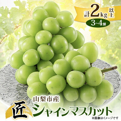 【ふるさと納税】山梨市産シャインマスカット(匠) 3～4房 (2kg以上)_ ふるさと納税 フルーツ 果物 くだもの マスカット ブドウ ぶどう 葡萄 ふるさと 人気 山梨 山梨県 送料無料 【配送不可地域：離島】【1483157】
