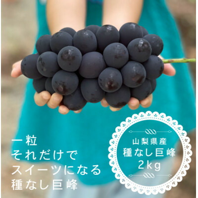 【ふるさと納税】巨峰ぶどう(種なし) 2kg 以上 産地直送 山梨県山梨市牧丘産【配送不可地域：離島・沖縄県】【1535988】