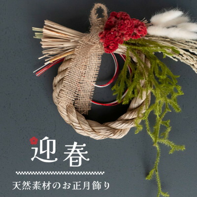 楽天市場】【予約販売 12月初旬より発送】フレッシュ！ ヒカゲノカズラ