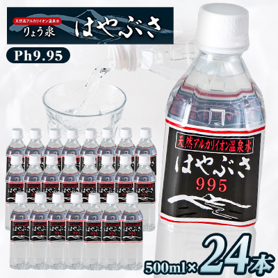 【ふるさと納税】【毎月定期便】りょう泉はやぶさ 995〈500ml×24本〉全6回【4058673】|山梨県山梨市