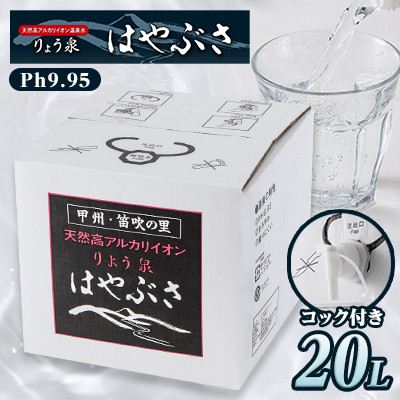 【ふるさと納税】【毎月定期便】りょう泉はやぶさ　バックインボックス(20L/コック付)全12回【4058695】｜山梨県山梨市