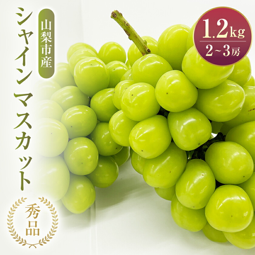 【ふるさと納税】大人気!シャインマスカット秀 1.2kg(2～3房)【配送不可地域：離島】【1442579】
