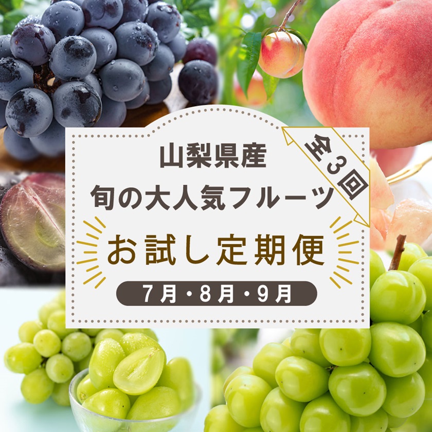 【ふるさと納税】【発送月固定定期便】山梨県産旬の大人気フルーツ【桃・巨峰・シャインマスカット】お試し定期便 全3回_ もも ぶどう フルーツ 果物 セット ギフト 産地直送 【配送不可地域：離島・沖縄県】【4013021】