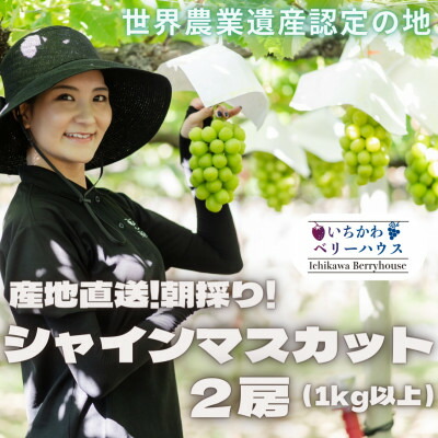 【ふるさと納税】農園直送!厳選!山梨産シャインマスカット2房(1kg以上)【配送不可地域：離島・沖縄県】【1481228】