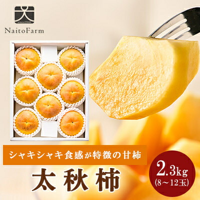 【ふるさと納税】やまなし内藤農園の太秋柿 2.3kg【配送不可地域：離島】【1398816】