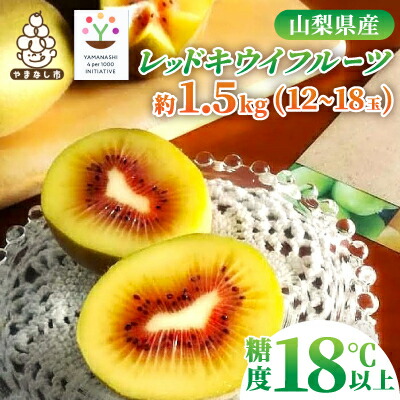 【ふるさと納税】レッドキウイフルーツ化粧箱入り　産地直送約1.5kg(12～18玉)【配送不可地域：離島】【1178165】