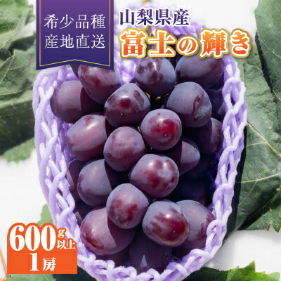 楽天市場】【ふるさと納税】【2026年発送】サンシャインレッド1房(500g