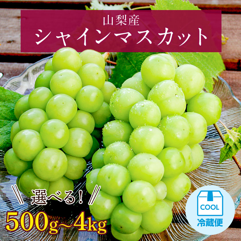 【ふるさと納税】【2025年発送】シャインマスカット 500g 1kg 2kg 4kg リピート続出! 山梨産 シャインマスカット 1房 ~ 9房 選べる内容量 _フルーツ 果物 くだもの ぶどう 葡萄 マスカット 農家直送 朝採れ ふるさと 【配送不可地域：離島、沖縄県】【G1017347】