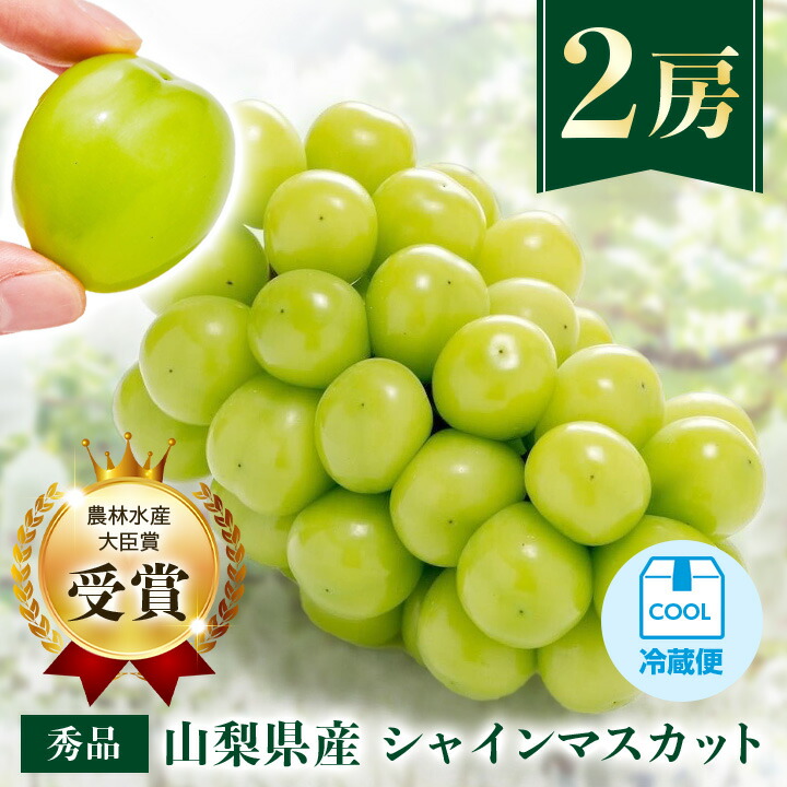 【ふるさと納税】【農林水産大臣賞受賞!!】シャインマスカット 2房 1kg以上_ ふるさと納税 ふるさと フルーツ ブドウ ぶどう 葡萄 果物 くだもの マスカット 山梨県 山梨市 山梨 人気 美味しい 送料無料【配送不可地域：離島】【1143545】