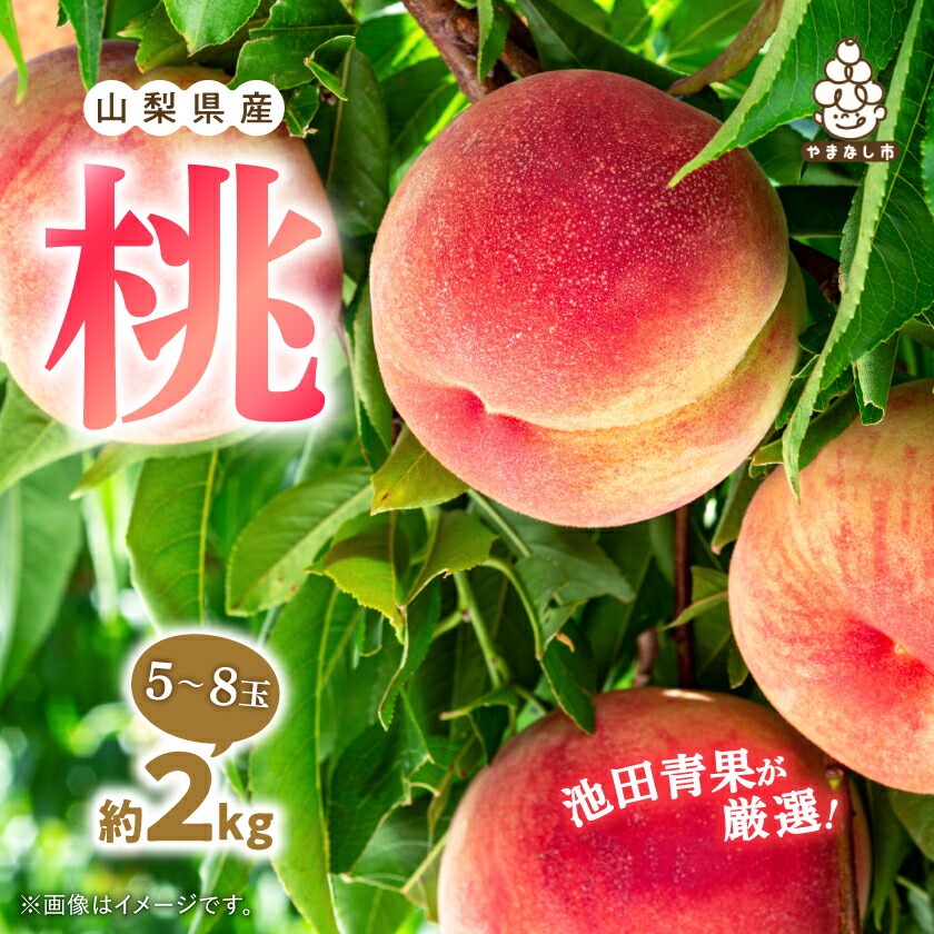 【ふるさと納税】桃 約2kg (5玉~8玉) 厳選 ! 池田青果の もも_ ふるさと納税 ふるさと モモ フルーツ 果物 くだもの 山梨県 山梨市 山梨 人気 送料無料【配送不可地域：離島・沖縄県】【1280520】