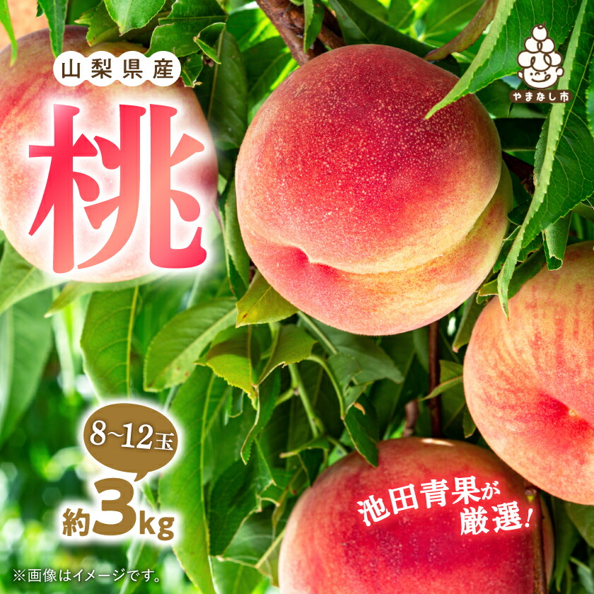 【ふるさと納税】桃 約3kg (8玉～12玉) 厳選 ! 池田青果の もも_桃 山梨 もも モモ フルーツ 果物 くだもの 山梨県 山梨市 山梨 ふるさと 人気 送料無料【配送不可地域：離島・沖縄県】【1280521】