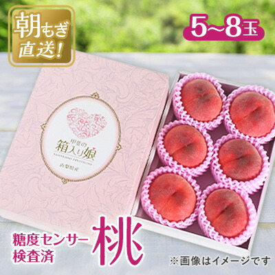 【ふるさと納税】桃 約2kg 5～8玉 朝もぎ直送! 旬の完熟『桃』選び抜かれた桃_ ふるさと納税 ふるさと もも モモ フルーツ 果物 くだもの 山梨県 山梨市 山梨 人気 送料無料【配送不可地域：離島】【1359013】