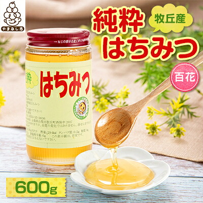 【ふるさと納税】牧丘産純粋はちみつ(百花)【1017358】
