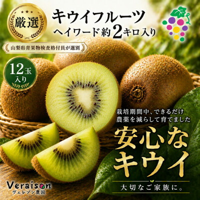 【ふるさと納税】キウイフルーツ(ヘイワード)約2kg【1178154】
