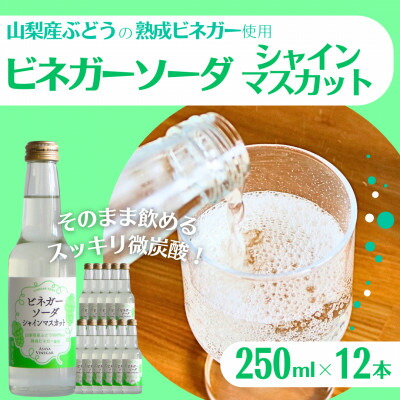 【ふるさと納税】山梨産ぶどう100%の熟成ビネガーの、そのまま飲める「ビネガーソーダシャインマスカット12本セット」【1658113】