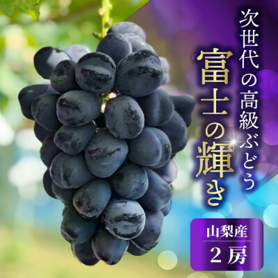【ふるさと納税】山梨市産 富士の輝き 大粒で高糖度の黒ぶどう 贈答用2房 化粧箱入り【配送不可地域：離島】【1724543】