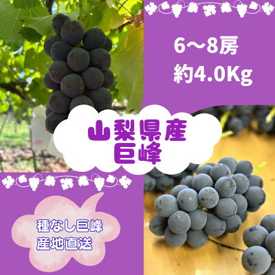 【ふるさと納税】【2026年8月発送予定】巨峰6～8房 (約4.0kg)【配送不可地域：離島】【1727567】