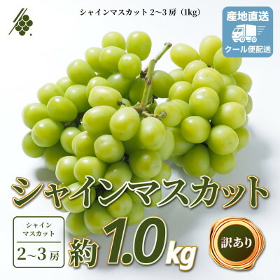 【ふるさと納税】シャインマスカット 2～3房 計1kg 訳あり ご家庭用【配送不可地域：離島・沖縄県】【1729248】